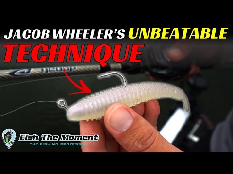 I Haven’t Been This Excited About a New Technique in 10 Years! | Jacob Wheeler’s Freeloader Rig