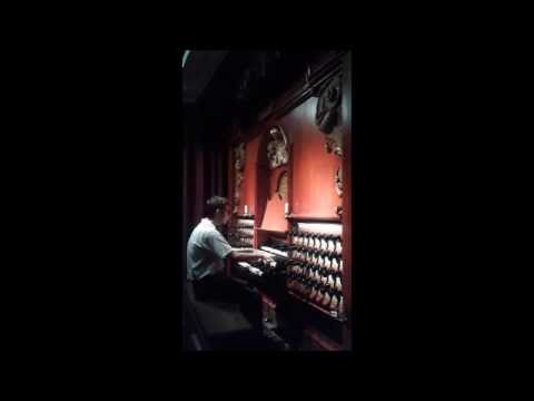 David Cassan plays JS. BACH - Toccata and fugue BWV 565