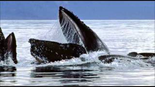 Balmorhea - Baleen Morning