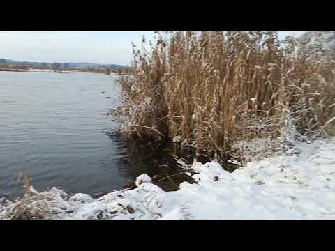 Das Premnitzer Havelufer bei Schnee 12.12.2022