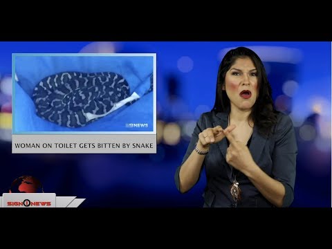 Woman on toilet gets bitten by snake (ASL - 1.28.19)