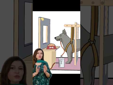 #CTET 7th July #Pavlov's Experiment #Classical Conditioning #CDP #NET #TET #SUPERTET