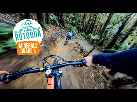 Check out the style on this fulla! - Minerals, Rotorua