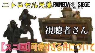 【個人的スコ回】視聴者さんとニトロセル兄弟が正直可愛すぎる件について。「レインボーシックスシージ実況」