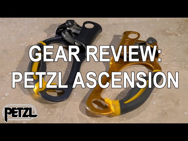 Зажим-жумар Petzl Ascension SPORT правый Оранжевый B17ARA - отзывы ...