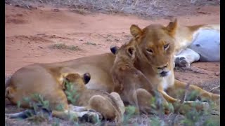 Thakazile Pride at Naledi Dam. africamLIVE 15 April 2024