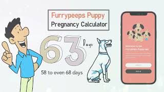 Furrypeeps pregnancy calculator explained