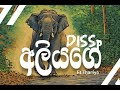 අලියගෙ DISS එක Short Rap Diss Video Ft Thaniya