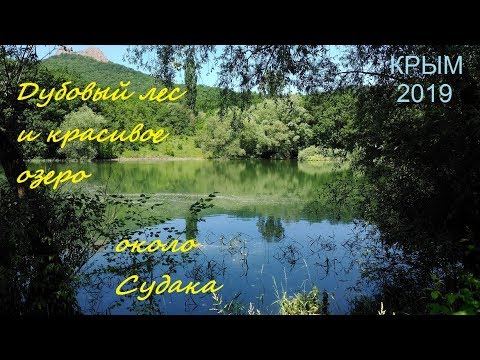 Дубовый лес и красивое озеро в селе Лесном, Крым, Судак, 13 июня 2019