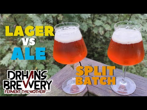 Ale vs Lager difference - Split Batch - Guten 70L
