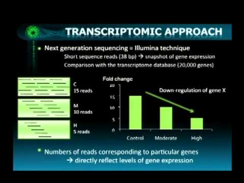 Aurelie Moya - Transcriptomic response of Acropora millepora juveniles to Ocean acidification
