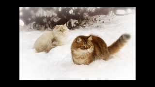 Booker T & The MG's - Blue Christmas