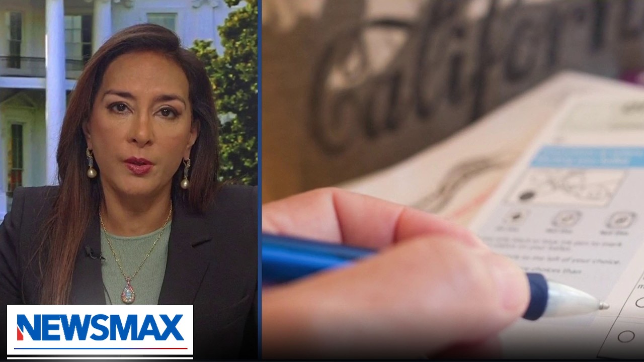 Refreshing to see locals take fraud action: Harmeet Dhillon | Ed Henry The Big Take