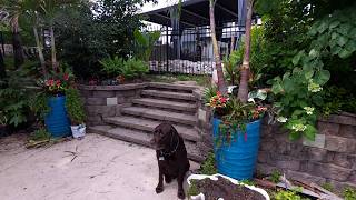 Mixed Tropical Planters New Vego Garden Hose Reel Lots of Planting!