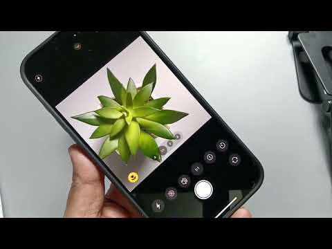 How to Change Aspect Ratio of iPhone Camera (Camera Tips)