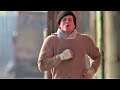 Rocky IL Primo Allenamento HD