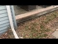 Keeping the Skunks Out From Under the Deck in Trenton, NJ