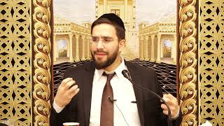 הרב נריה ברבי | לבשל בשבת מחום השמש מותר? (ארגון ענפים) - התמונה מוצגת ישירות מתוך אתר האינטרנט יוטיוב. זכויות היוצרים בתמונה שייכות ליוצרה. קישור קרדיט למקור התוכן נמצא בתוך דף הסרטון