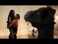 Obliterated 2023 Funny Scene