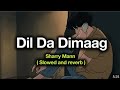 Dil da dimaag (Sharry Maan) slowed reverb #aesthetic #goingviral#lofi #💔💔 #viral #lyric