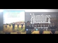 Fall Out Boy - Centuries (Rumours cover) 