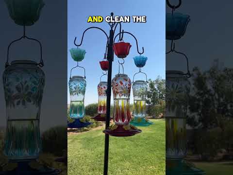 Easy how-to guide for making hummingbird food.