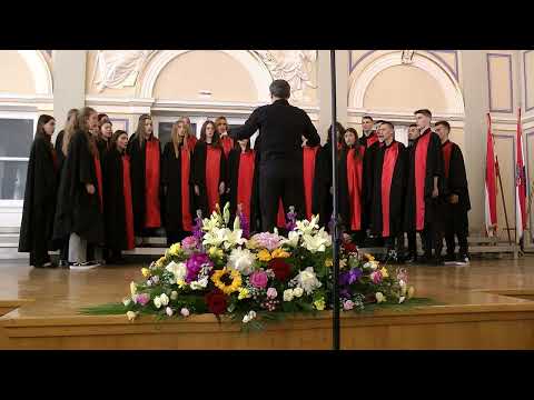 "M. Marulić" High School Mixed Choir - Uljenica moje matere (S. Berdović / S. Govorčin)