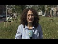 Rijnmond Nieuws - zondag 25 augustus 2019