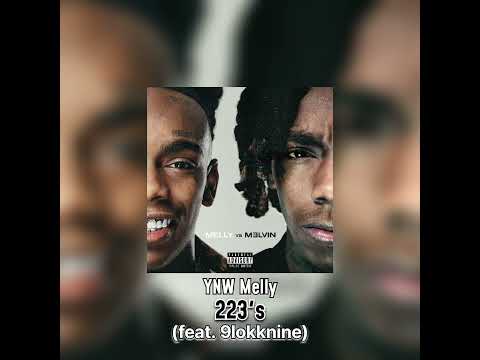 YNW Melly - 223's (feat. 9lokknine)