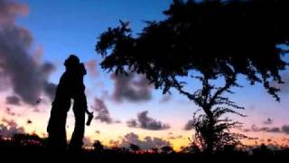 Cross Canadian Ragweed Flowers.wmv