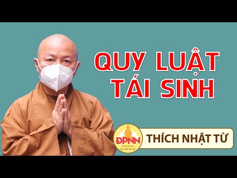 Giá trị một kiếp người và quy luật tái sanh 