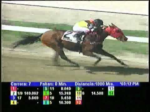 Resumen Sabado, 08 de Septiembre de 2012 - La Rinconada