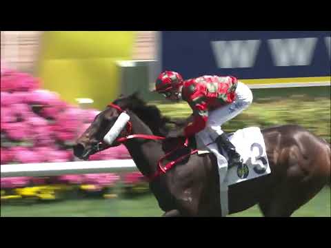 3/4/2022 (549) En Pointe - Z Purton