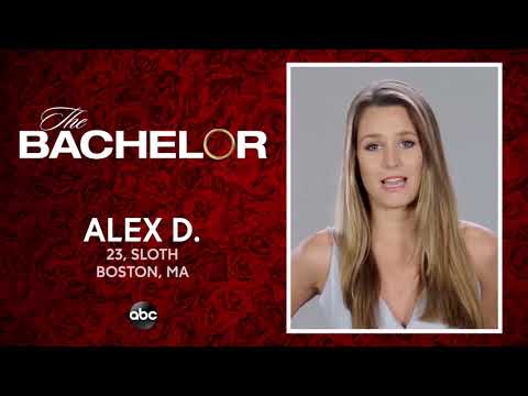 Meet Alex D. - The Bachelor