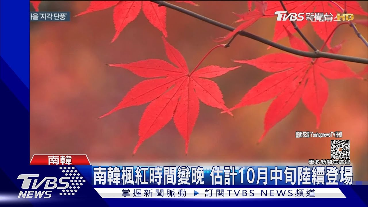 全球暖化楓紅變晚 不影響陸客團湧入南韓