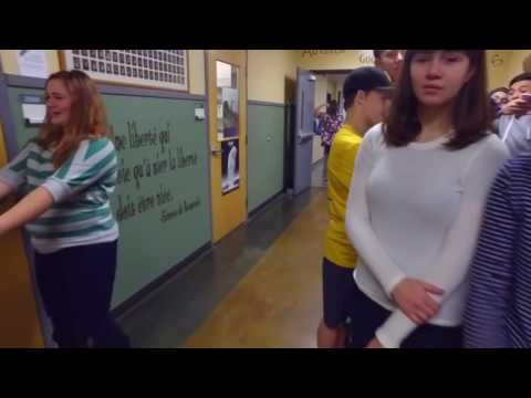 High School Mannequin Challenge 1500 Students   Maple Ridge Secondary School
