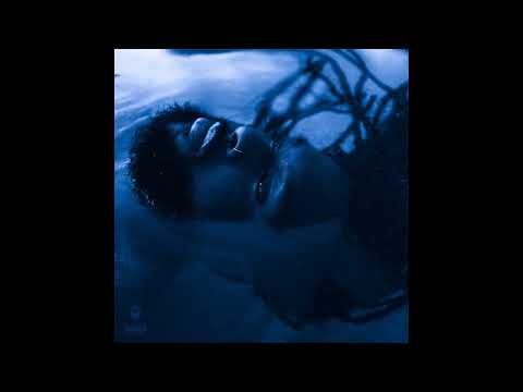 Rexx Life Raj - Radius