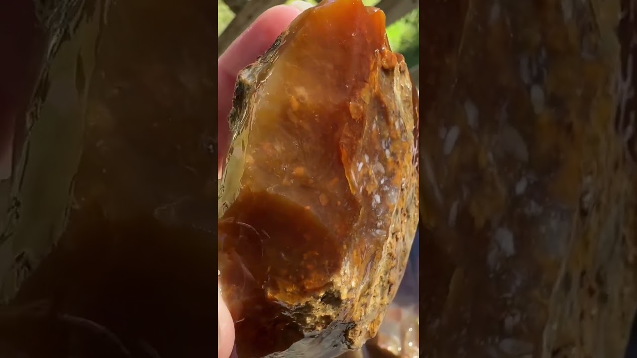 Savannah River Agate #11