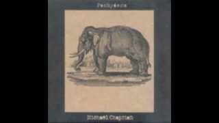 Michael Chapman - Pachyderm
