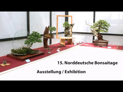 15th North German Bonsaitage: BIN - Bonsai in the North Exhibition 2023