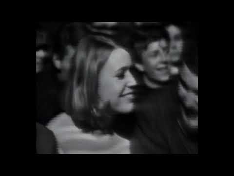 Booker T & The MGs Green Onions (live)