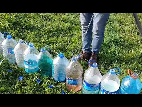 ZEYTİNDE HALKALI LEKE DENEMESİ (Fragman)