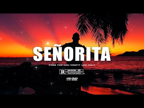 [FREE] RAF Camora Type Beat x APACHE 207 Type Beat - "SEÑORITA" | HOUSE x BONEZ MC Type Beat 2025