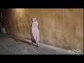 Arab Hijab Mature Burqa Clad Women Milf Bbw Bigass