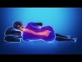 Alpha Waves Heal Damage In The Body Music Heals The Whole Body Emotional And Physical Healing