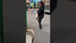 Dogs Being Placed Into Cages Meant For The Dog Meat Markets of China