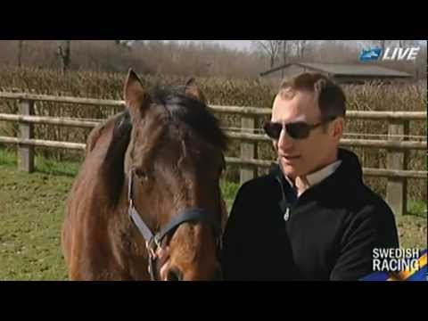 Elitloppet Winner 1996_Coktail Jet_Jean Etienne Dubois_Reportage