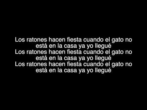 Lirico En La Casa - Tengo Una Morena Letra