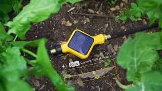 Check out this Gadget - Edyn's Smart Soil Sensor... Know what to Grow and When