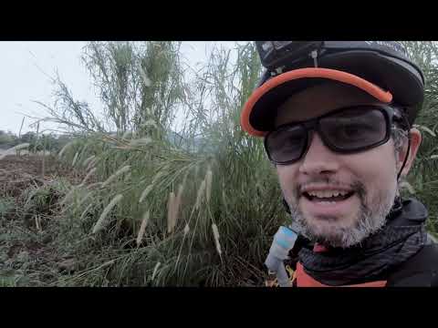 Malacara Race 500km 2021